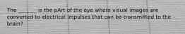 The _______ is the pArt of the eye where visual images are converted to electrical impulses that can be transmitted to the brain?