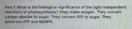 Part F What is the biological significance of the light-independent reactions of photosynthesis? They make oxygen. They convert carbon dioxide to sugar. They convert ATP to sugar. They generate ATP and NADPH.