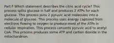 Part F Which statement describes the citric acid cycle? This process splits glucose in half and produces 2 ATPs for each glucose. This process joins 2 pyruvic acid molecules into a molecule of glucose. This process uses energy captured from electrons flowing to oxygen to produce most of the ATPs in cellular respiration. This process converts pyruvic acid to acetyl CoA. This process produces some ATP and carbon dioxide in the mitochondrion.