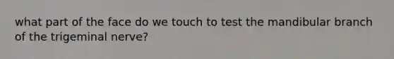 what part of the face do we touch to test the mandibular branch of the trigeminal nerve?