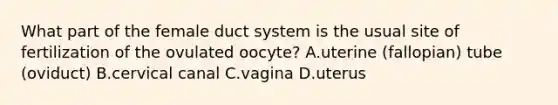 What part of the female duct system is the usual site of fertilization of the ovulated oocyte? A.uterine (fallopian) tube (oviduct) B.cervical canal C.vagina D.uterus