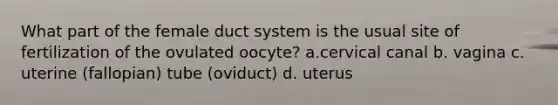 What part of the female duct system is the usual site of fertilization of the ovulated oocyte? a.cervical canal b. vagina c. uterine (fallopian) tube (oviduct) d. uterus