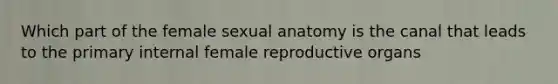 Which part of the female sexual anatomy is the canal that leads to the primary internal female reproductive organs