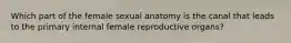 Which part of the female sexual anatomy is the canal that leads to the primary internal female reproductive organs?