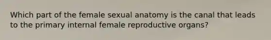 Which part of the female sexual anatomy is the canal that leads to the primary internal female reproductive organs?