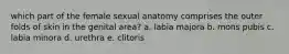 which part of the female sexual anatomy comprises the outer folds of skin in the genital area? a. labia majora b. mons pubis c. labia minora d. urethra e. clitoris