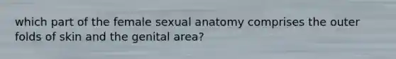 which part of the female sexual anatomy comprises the outer folds of skin and the genital area?