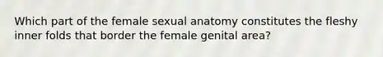 Which part of the female sexual anatomy constitutes the fleshy inner folds that border the female genital area?