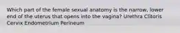 Which part of the female sexual anatomy is the narrow, lower end of the uterus that opens into the vagina? Urethra Clitoris Cervix Endometrium Perineum