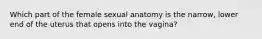 Which part of the female sexual anatomy is the narrow, lower end of the uterus that opens into the vagina?​