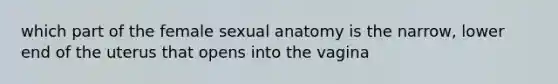 which part of the female sexual anatomy is the narrow, lower end of the uterus that opens into the vagina