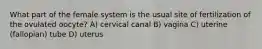 What part of the female system is the usual site of fertilization of the ovulated oocyte? A) cervical canal B) vagina C) uterine (fallopian) tube D) uterus