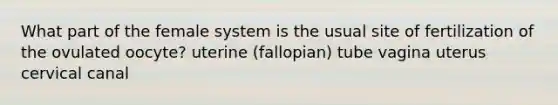 What part of the female system is the usual site of fertilization of the ovulated oocyte? uterine (fallopian) tube vagina uterus cervical canal