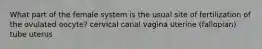 What part of the female system is the usual site of fertilization of the ovulated oocyte? cervical canal vagina uterine (fallopian) tube uterus