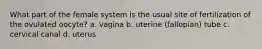 What part of the female system is the usual site of fertilization of the ovulated oocyte? a. vagina b. uterine (fallopian) tube c. cervical canal d. uterus