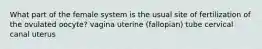 What part of the female system is the usual site of fertilization of the ovulated oocyte? vagina uterine (fallopian) tube cervical canal uterus