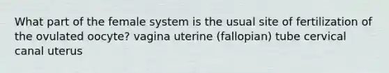 What part of the female system is the usual site of fertilization of the ovulated oocyte? vagina uterine (fallopian) tube cervical canal uterus