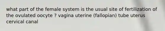 what part of the female system is the usual site of fertilization of the ovulated oocyte ? vagina uterine (fallopian) tube uterus cervical canal