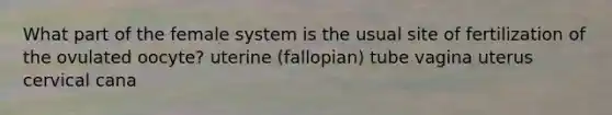 What part of the female system is the usual site of fertilization of the ovulated oocyte? uterine (fallopian) tube vagina uterus cervical cana