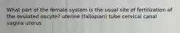 What part of the female system is the usual site of fertilization of the ovulated oocyte? uterine (fallopian) tube cervical canal vagina uterus