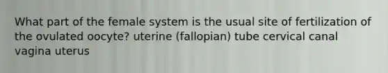 What part of the female system is the usual site of fertilization of the ovulated oocyte? uterine (fallopian) tube cervical canal vagina uterus