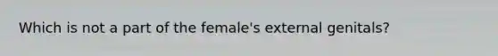 Which is not a part of the female's external genitals?