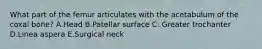 What part of the femur articulates with the acetabulum of the coxal bone? A.Head B.Patellar surface C. Greater trochanter D.Linea aspera E.Surgical neck