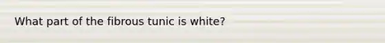 What part of the fibrous tunic is white?