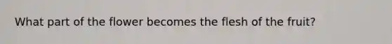 What part of the flower becomes the flesh of the fruit?