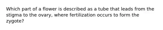 Which part of a flower is described as a tube that leads from the stigma to the ovary, where fertilization occurs to form the zygote?