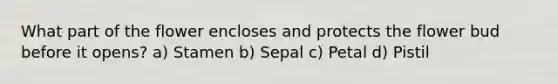 What part of the flower encloses and protects the flower bud before it opens? a) Stamen b) Sepal c) Petal d) Pistil