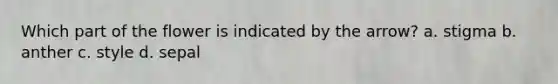 Which part of the flower is indicated by the arrow? a. stigma b. anther c. style d. sepal
