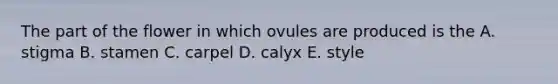 The part of the flower in which ovules are produced is the A. stigma B. stamen C. carpel D. calyx E. style