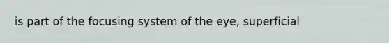 is part of the focusing system of the eye, superficial