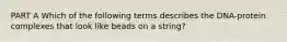 PART A Which of the following terms describes the DNA-protein complexes that look like beads on a string?