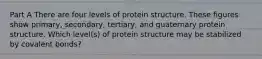 Part A There are four levels of protein structure. These figures show primary, secondary, tertiary, and quaternary protein structure. Which level(s) of protein structure may be stabilized by covalent bonds?