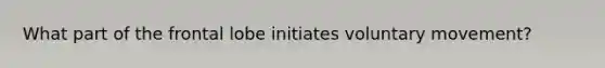 What part of the frontal lobe initiates voluntary movement?