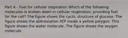 Part A - Fuel for cellular respiration Which of the following molecules is broken down in cellular respiration, providing fuel for the cell? The figure shows the cyclic structure of glucose. The figure shows the abbreviation ATP inside a yellow polygon. This figure shows the water molecule. The figure shows the oxygen molecule.