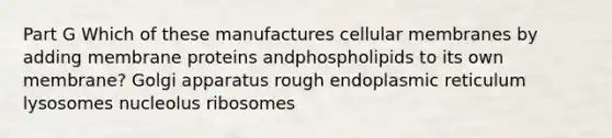 Part G Which of these manufactures cellular membranes by adding membrane proteins andphospholipids to its own membrane? Golgi apparatus rough endoplasmic reticulum lysosomes nucleolus ribosomes