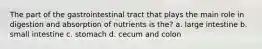 The part of the gastrointestinal tract that plays the main role in digestion and absorption of nutrients is the? a. large intestine b. small intestine c. stomach d. cecum and colon