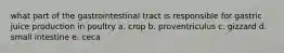 what part of the gastrointestinal tract is responsible for gastric juice production in poultry a. crop b. proventriculus c. gizzard d. small intestine e. ceca