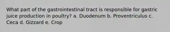 What part of the gastrointestinal tract is responsible for gastric juice production in poultry? a. Duodenum b. Proventriculus c. Ceca d. Gizzard e. Crop