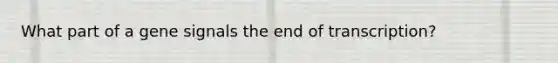 What part of a gene signals the end of transcription?