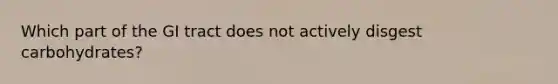 Which part of the GI tract does not actively disgest carbohydrates?