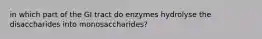 in which part of the GI tract do enzymes hydrolyse the disaccharides into monosaccharides?