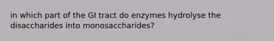 in which part of the GI tract do enzymes hydrolyse the disaccharides into monosaccharides?