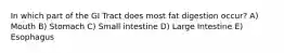 In which part of the GI Tract does most fat digestion occur? A) Mouth B) Stomach C) Small intestine D) Large Intestine E) Esophagus