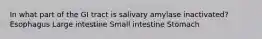 In what part of the GI tract is salivary amylase inactivated? Esophagus Large intestine Small intestine Stomach