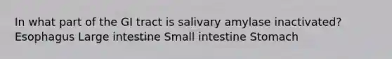 In what part of the GI tract is salivary amylase inactivated? Esophagus Large intestine Small intestine Stomach