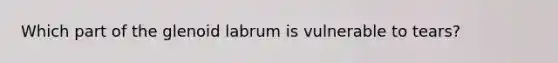 Which part of the glenoid labrum is vulnerable to tears?